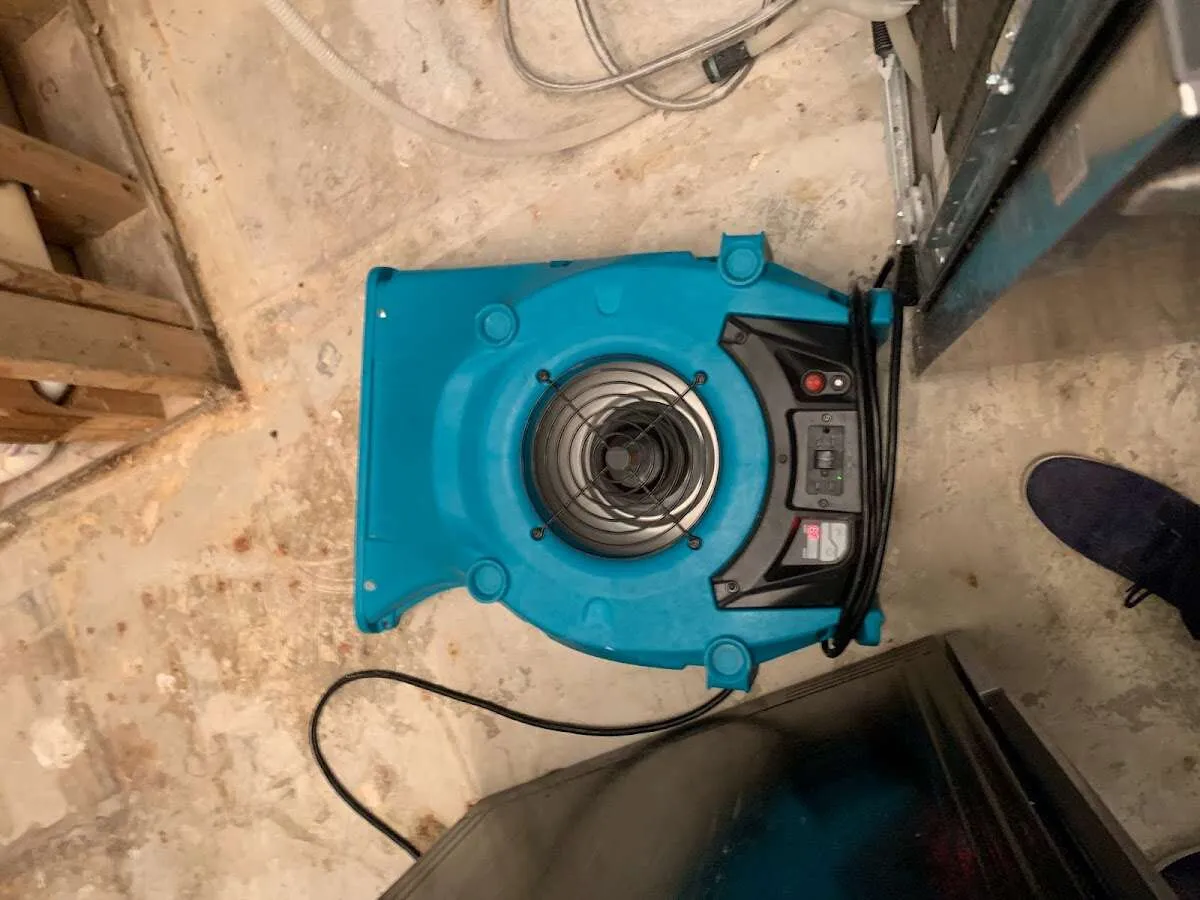 Air mover drying equipment for Mold Remediation & Removal in Racine
